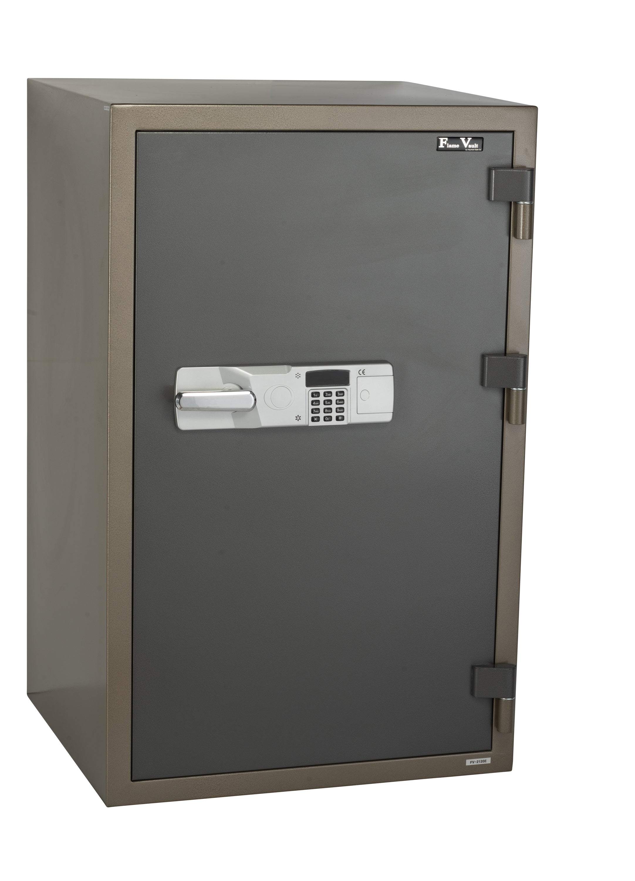 FV-2120 E